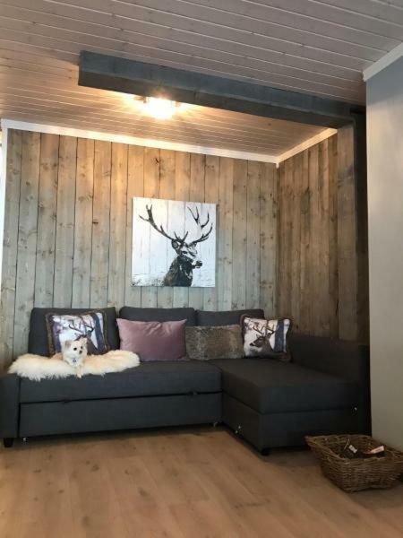 Kvamseter Lodge - Mountain Apartments Norheimsund Ngoại thất bức ảnh